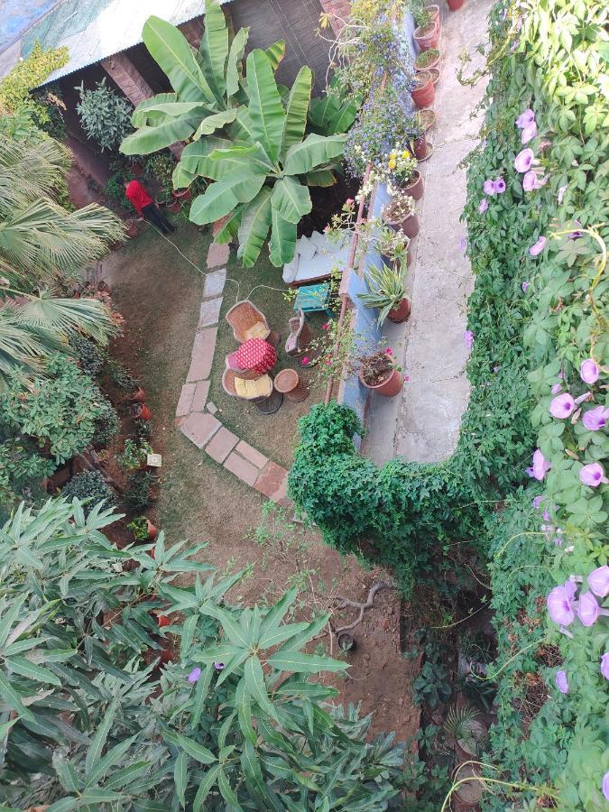 Bristows Haveli Homestay Джодхпур Экстерьер фото